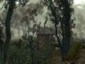 A witcher információt szerez egy mocsárban élő embertől...